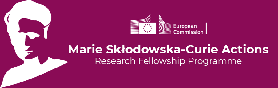 phd programs scholarships europe
