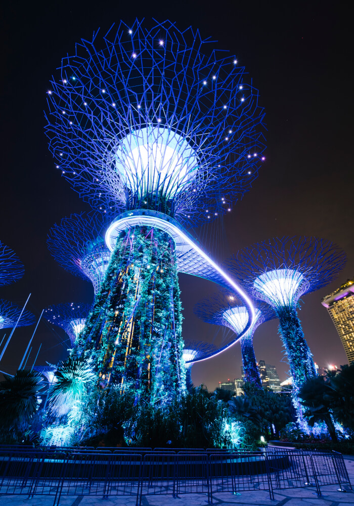 garden-by-bay-night-scene-singapore